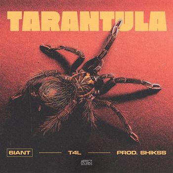6iant, T4L - Tarantula