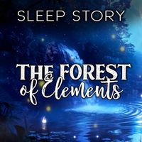 Stephen Dalton - Sleep Story: The Forest of Elements