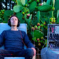 Bio Music Vibrations - Prickly Pear