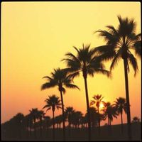 Vidal - Sun's Out