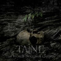 Taine - The World Does Not Change