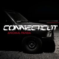 Anomal Panda - Connecticut