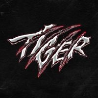 THE BOYZ - Tiger