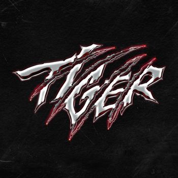 THE BOYZ - Tiger