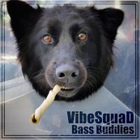 VibeSquaD - Bass Buddies