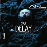 ANL - No Delay