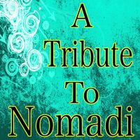 Di. Di. Sound - A Tribute to Nomadi