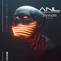 ANL - System Awake