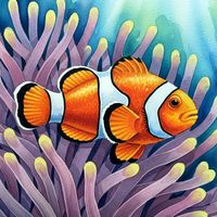 SleepingShark - Clown Fish