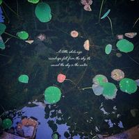 air - A little while ago, raindrops fell from the sky, its waved the sky in the water.