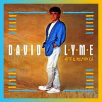 David Lyme - Hits & Remixes