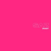 SAZ - UNAIDY