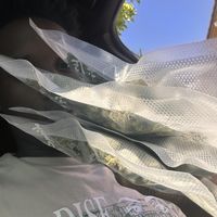 Trvper - Ain’t What You Want (Explicit)