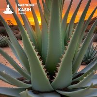 Sabnock - Kasih