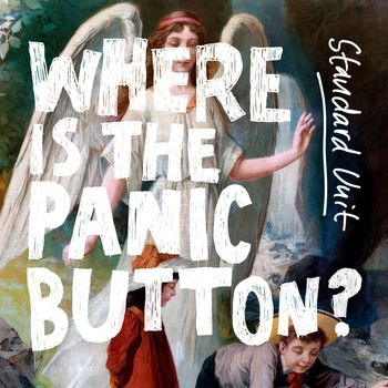 Standard Unit - Where Is the Panic Button?