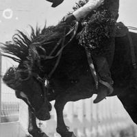 Mark Stevens - Rodeo