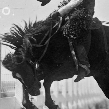 Mark Stevens - Rodeo