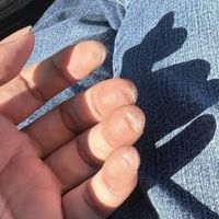 Cam - đi đi lại lại