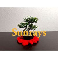 Prsnt - Sunrays