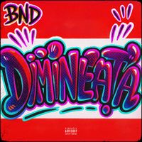 Bnd - DIMINEATA (Explicit)
