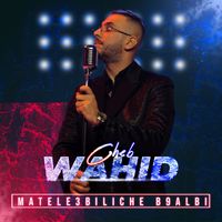 Cheb Wahid - Matele3biliche B9albi