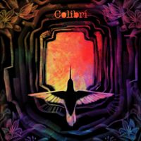 Colibri - Colibrí
