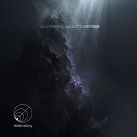 OBSERVER - Surreal Multiverse