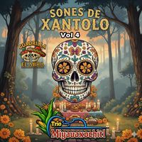 Trio Miyauaxochitl - Sones De Xantolo, Vol. 4