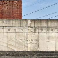 Lyonel Bauchet - Expressions