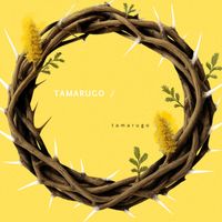 Tamarugo - Tamarugo