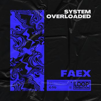 FAEX - System Overloaded