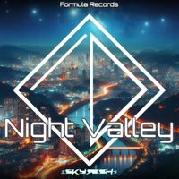 DJ Skyr3sh - Night Valley