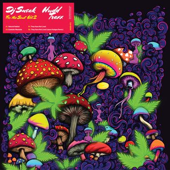 DJ Sneak - For The Soul, Vol. 2