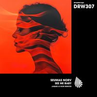 Seumas Norv - See Me Baby (Jaques Le Noir Remixe)