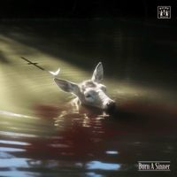 Quire - BORN A SINNER
