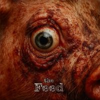 King Saltine - The Feed (Explicit)