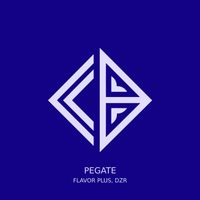 Flavor Plus - Pegate