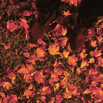 Aslan - Maple Rain