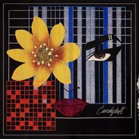 Candytuft - Sour Flower