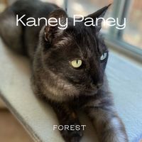 Forest - Kanye Paney