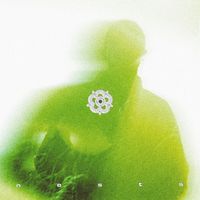 Aspen - Nests pt. I