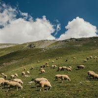 Kito Jempere - I'm Not a Doctor Either