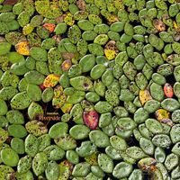 invention_ - Riverside