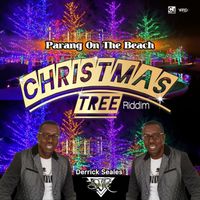 Derrick Seales - Parang On The Beach (Christmas Tree Riddim)