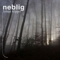 Tobias Köppel - Neblig