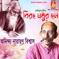 Anindya Narayan Biswas - Biraho Madhur Holo