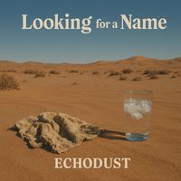 Echodust - Looking for a Name