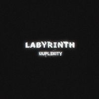 Duplexity - Labyrinth