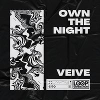 Veive - Own The Night