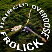 Haircut Overdose - Frolick